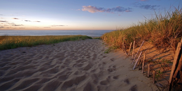 cape cod beach