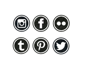 social+media+management