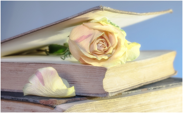 press books show the strength of your brand